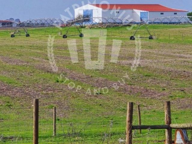 à venda Fazenda de 418 m2 Aljustrel, Beja