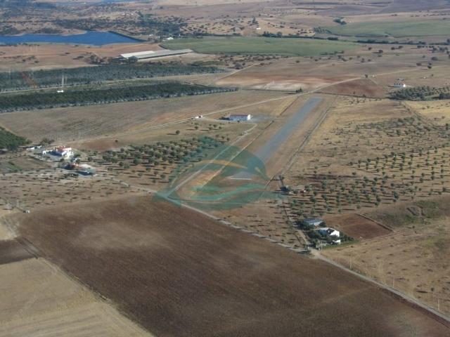à venda Fazenda Ferreira do Alentejo, Beja