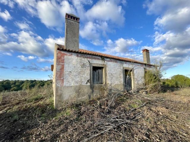 à venda Fazenda Castelo Branco, Portugal