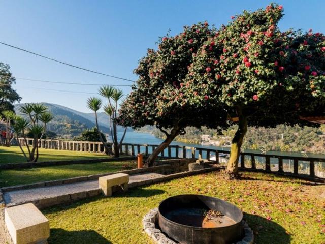 à venda Casa de campo de alto padrão Sardoura, Aveiro