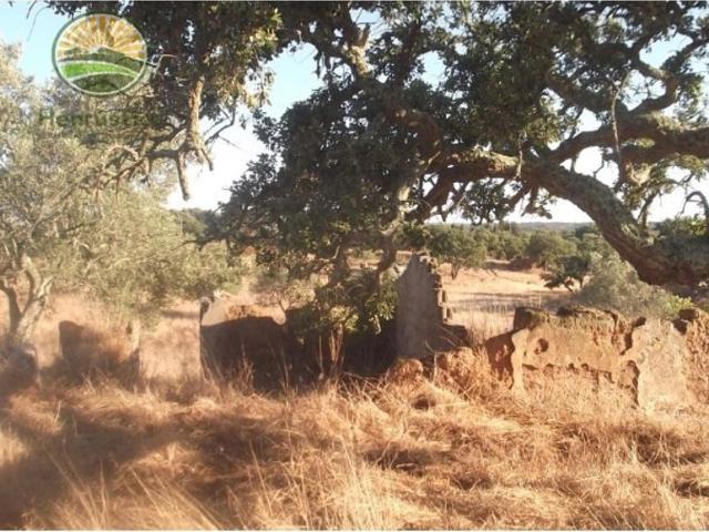 à venda Fazenda de 43 m2 Serra de Grandola, Grândola, Setúbal