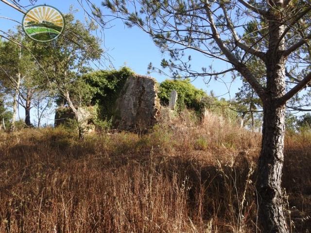 à venda Fazenda Ribeira dos Lameiros, Odemira, Beja