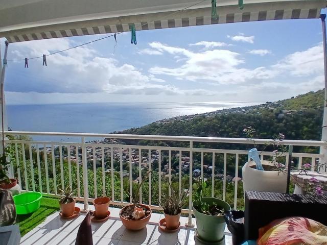 A VENDRE T2 RARE AVEC GRANDE TERRASSE VUE MER SCHOELCHER 972