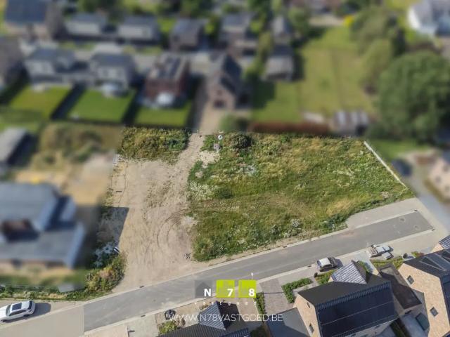 à vendre Terrain Maaseik De Fraipontweg
