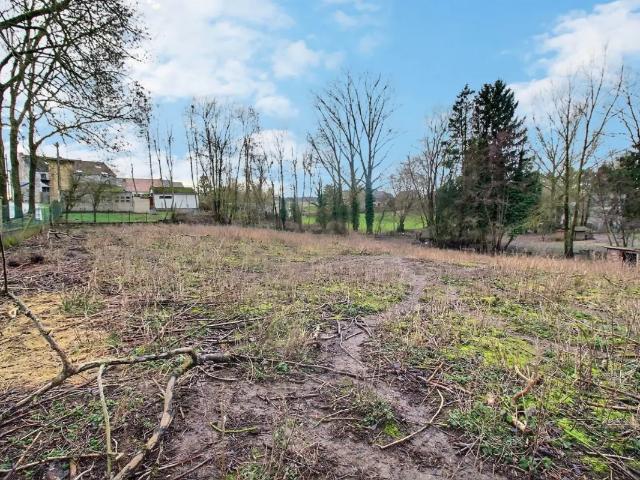 à vendre Terrain Mettet