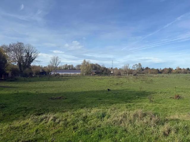 à vendre Terrain Mons