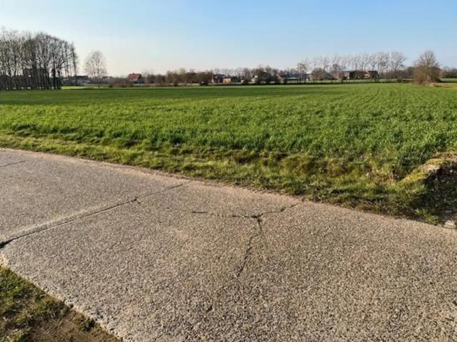 à vendre Terrain Noorderwijk Landweg