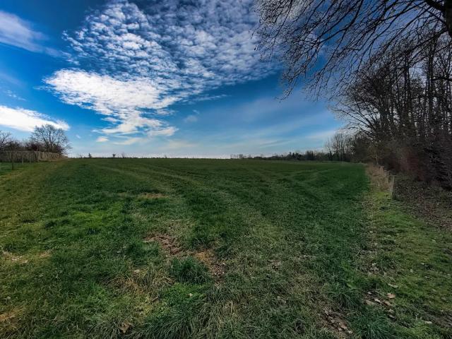 à vendre Terrain Orbais