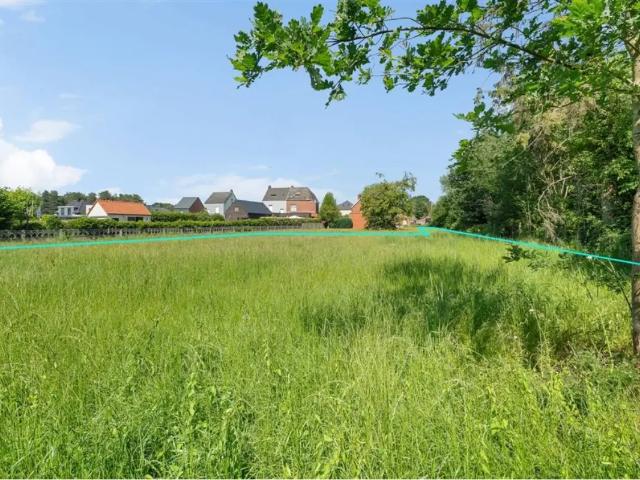 à vendre Terrain Averbode Westelsebaan
