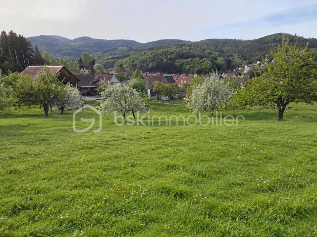 À VENDRE – TERRAIN À BÂTIR 599 m² À BREITENBACH 68