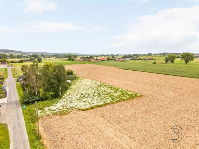 à vendre Terrain à bâtir Celles Rue du Becquereau