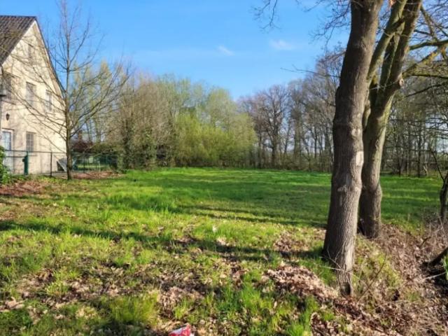 à vendre Terrain à bâtir Beerse antwerpseweg