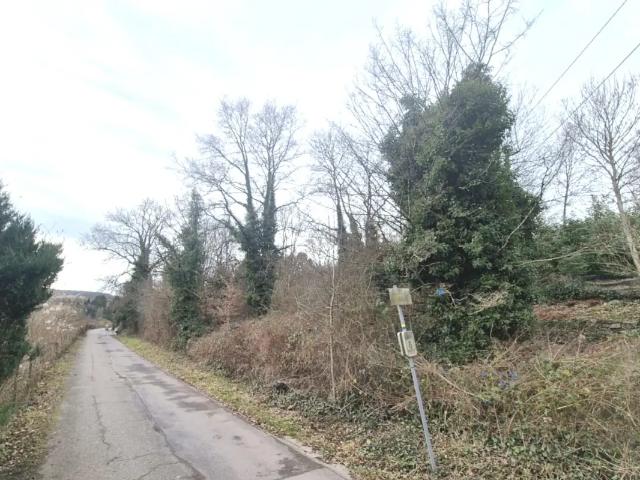 à vendre Terrain à bâtir Dourbes Chemin du Vicinal