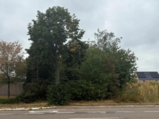 à vendre Terrain à bâtir Dilsen Stokkem Rijksweg