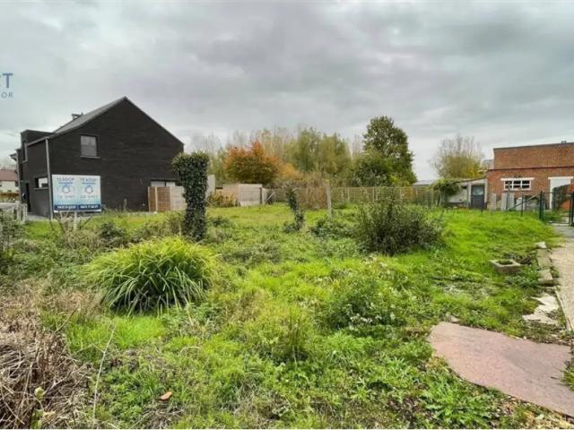 à vendre Terrain à bâtir Moerbeke Meirbroekstraat