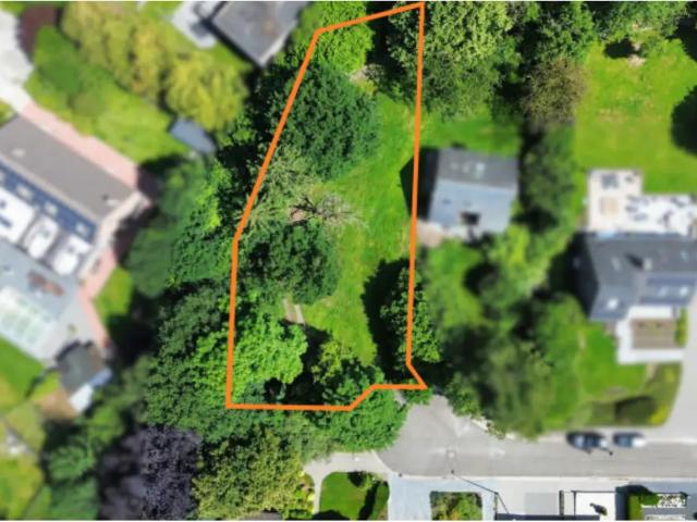 à vendre Terrain à bâtir Saive Rue Trou du Renard, à gauche du n°13