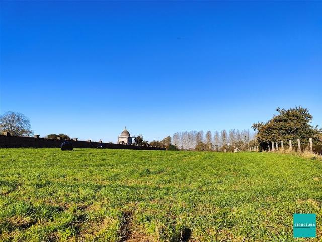 à vendre Terrain à bâtir Pepingen Steenweg op Elingen