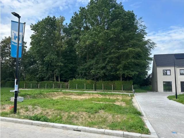 à vendre Terrain à bâtir Waardamme Rooiveldstraat