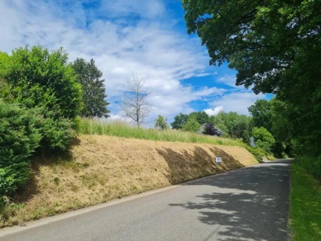 à vendre Terrain à bâtir Tenneville Bergueme