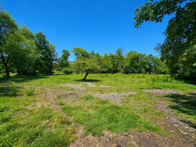 à vendre Terrain à bâtir Viroinval