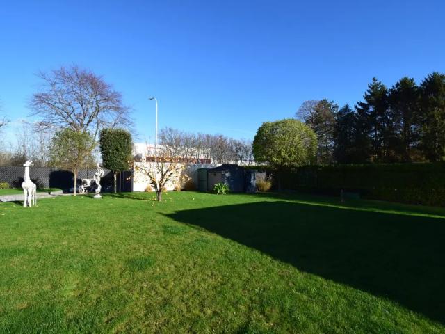 à vendre Terrain à bâtir Zellik Bremveld 1 A