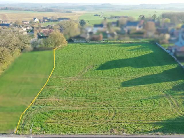 à vendre Terrain à lotir Ouffet Grand'Route