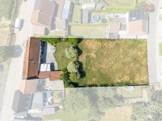 à vendre Terrain à lotir Ninove Eichemstraat