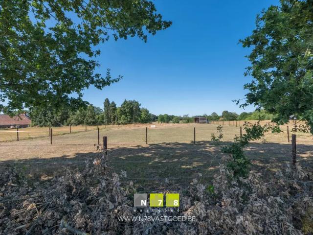 à vendre Terrain agricole Maaseik Houwstraat
