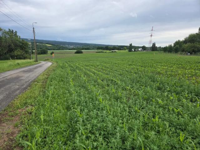 à vendre Terrain agricole Mons Lez Liège Rue Boulboule