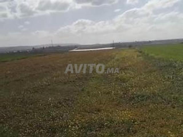 A vendre Terrain agricole a aït Bouljaoui Meknès