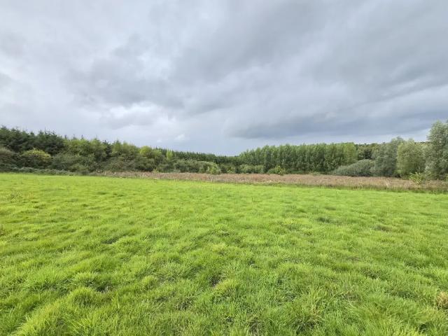 à vendre Terrain agricole Bertogne Longchamps