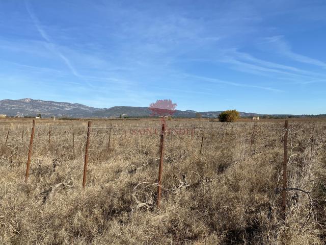 A VENDRE TERRAIN AGRICOLE DE 24 831 m2