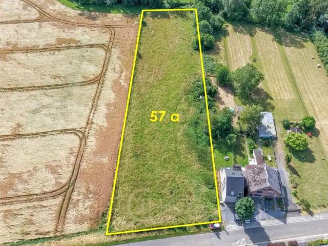 à vendre Terrain agricole Genly Rue du Docteur Harvengt