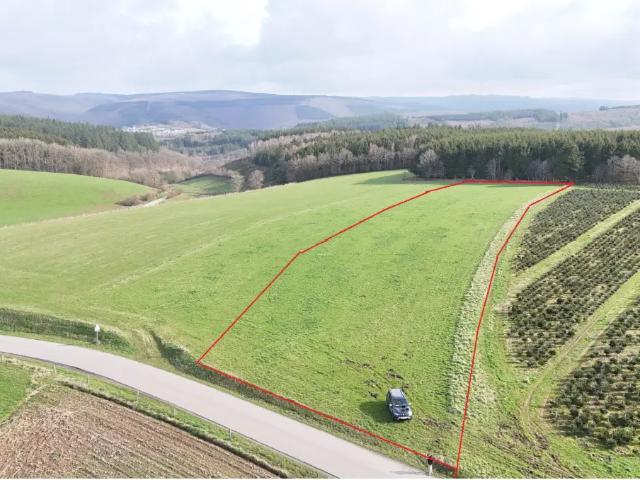 à vendre Terrain agricole La Roche en Ardenne hives