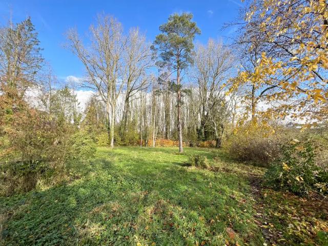 à vendre Terrain agricole Lasne Rue Privée