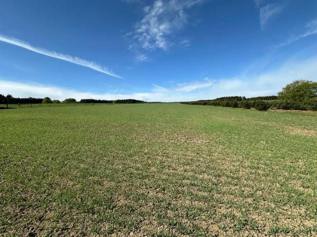 à vendre Terrain agricole Libin Rue de Framont