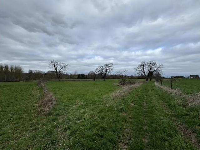 à vendre Terrain agricole Sint Pieters Leeuw Pereboomstraat