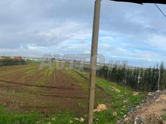 À vendre terrain agricole 10 000 M route al amira