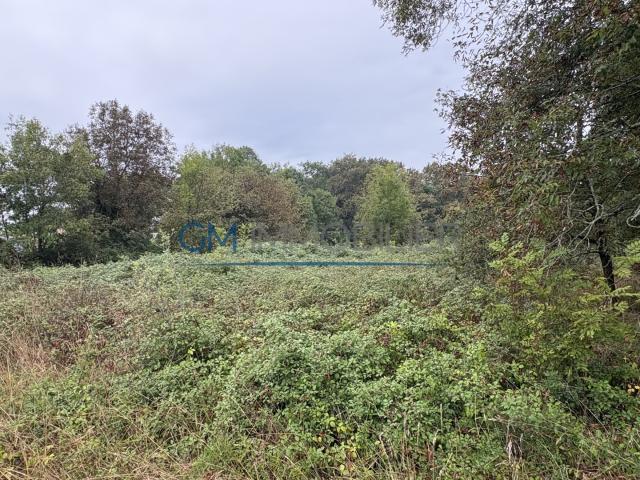 À vendre Terrain agricole constructible proche Hagetmau