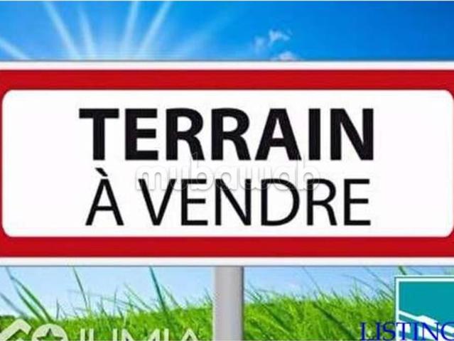 A vendre terrain Angle 300m2 z. Immb Lusitania