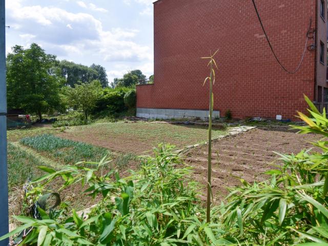 à vendre Terrain Berchem Sainte Agathe
