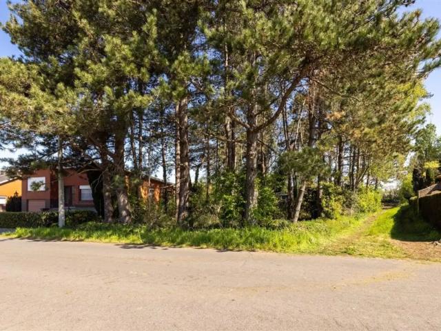à vendre Terrain Berlaar Kegelstraat