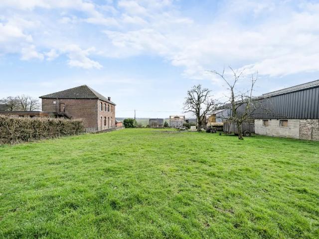 à vendre Terrain Bois et Borsu Borsu