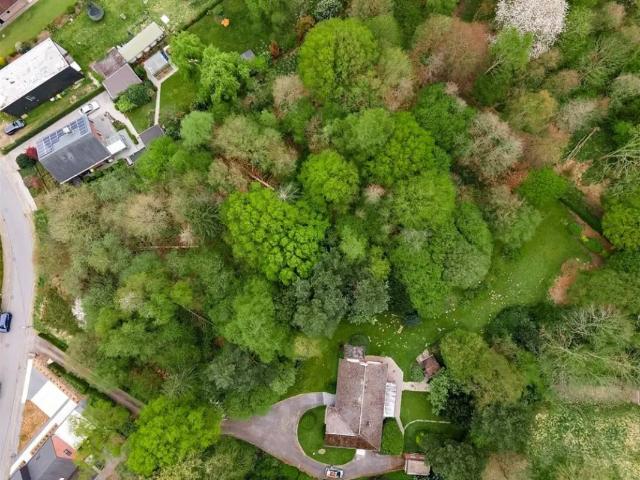 à vendre Terrain Boortmeerbeek Vogelzangwijk