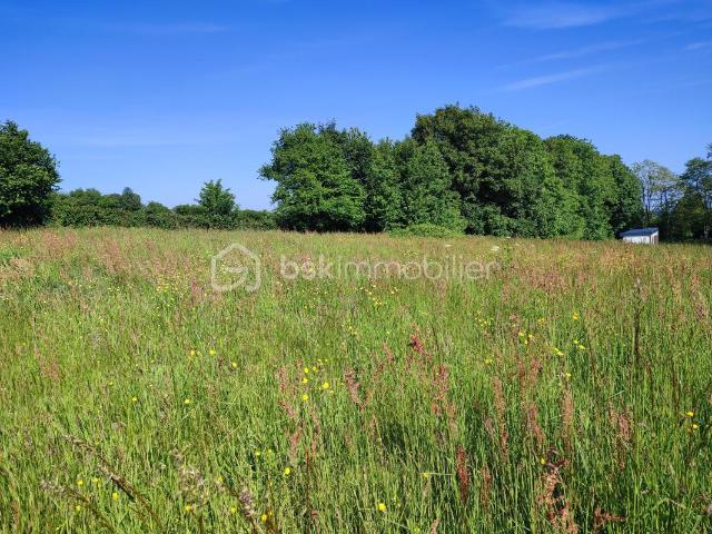 A vendre Terrain constructible à Carrouges 61