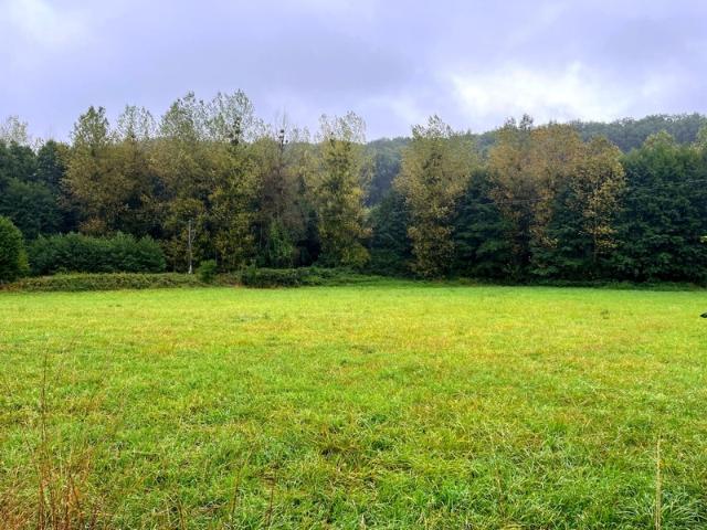 À vendre – Terrain constructible à Courdemanche 72150 – 3 175 m² en pleine nature, à 650 m des commodités