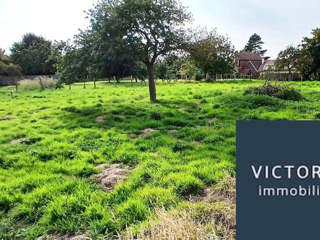 A VENDRE TERRAIN CONSTRUCTIBLE DE 1000m2 BELLEVILLE SUR MER PETIT CAUX