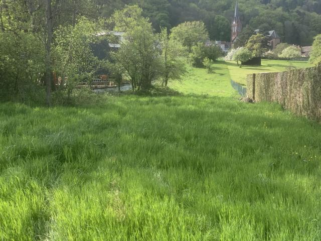 À vendre Terrain constructible de 19 ares