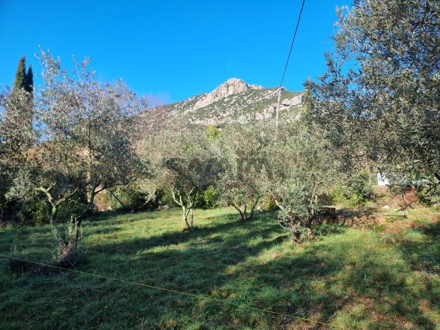 À VENDRE Terrain constructible de 550m2 Secteur Saint Hiippolyte du Fort