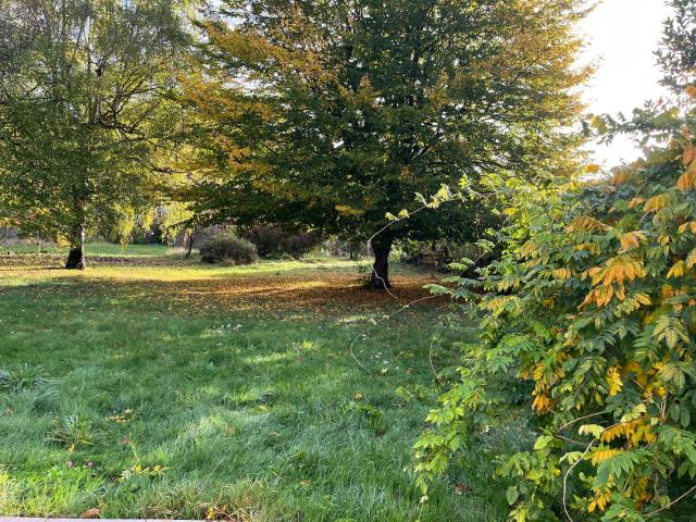 A Vendre Terrain Constructible Maffliers